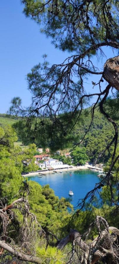Skopelos Country House Diamantis & Chrisi Agnontas Extérieur photo