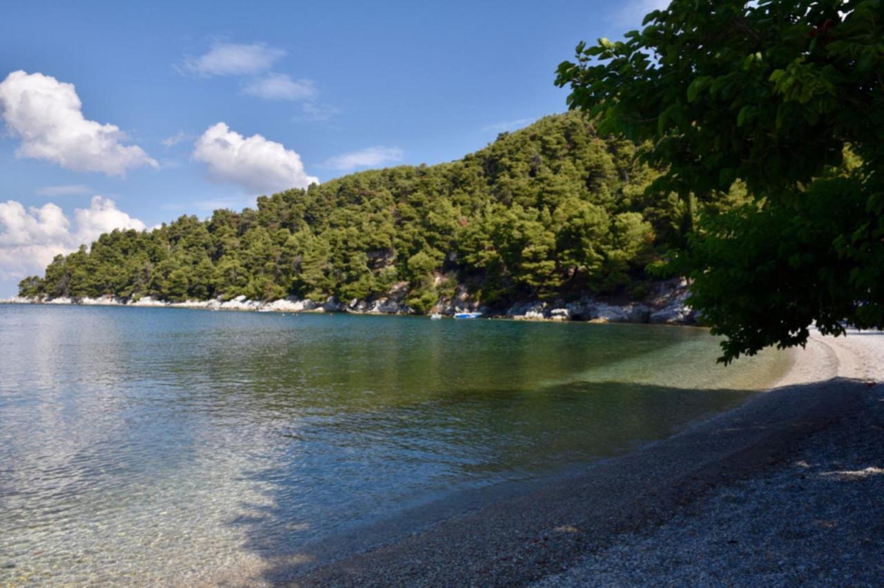 Skopelos Country House Diamantis & Chrisi Agnontas Extérieur photo