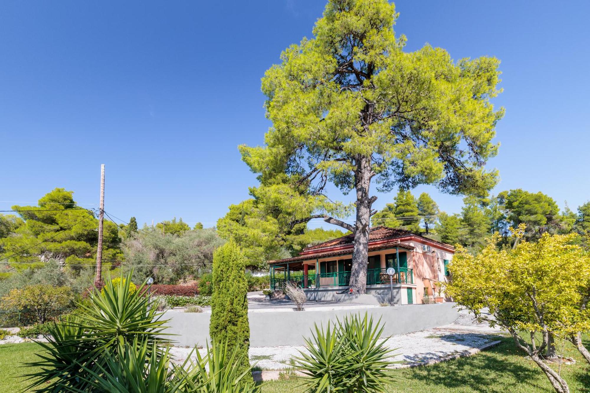 Skopelos Country House Diamantis & Chrisi Agnontas Extérieur photo